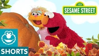 Sesame Street: Surprises in the Pumpkin Patch