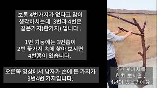 대형 인조벚꽃 나무 조화 인테리어 매장 가게 장식 조립방법