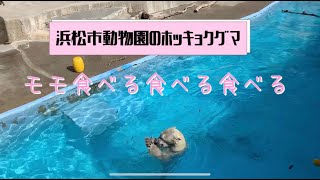 ずっと待ってました♪浜松市動物園モモのザ・おやつタイム