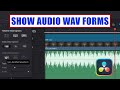 DaVinci Resolve Show Missing Wave Forms on Audio Tracks [ Tutorial ]