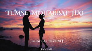 Tumse Mohabbat Hai [ Slowed + Reverb ] Lofi Song | Jalraj | Lily's Lofi