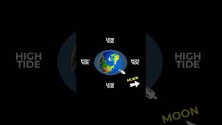 Tides Explained Earth Tides Science Cosmoknowledge