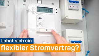 Dynamische Stromtarife im Check - Niedrige Stromkosten dank Smartmeter | EFAHRER