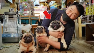 【神回】長野のおみやげ店の看板犬と出会った結果とんでもない事になりました