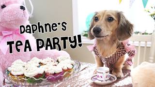 Ep#14: Daphne Hosts a (CRAZY) Tea Party -  with Crusoe & Oakley!