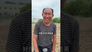 几天没去新农场，草莓大棚快扎一半了，娘家婆家一起努力，农场越来越有样了！#新农人计划2024 #我的乡村生活 #记录我的农村生活