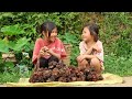 Two poor children picked fruits from the forest and sold them to buy food for a poor life