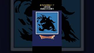 【ドラクエシルエット】兄妹の絆！？#shorts #ドラクエタクト #ドラゴンクエスト  #ドラクエ10 #ドラクエ11 #レトロゲーム #ポケモン じゃないよ