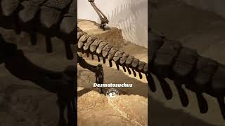 Desmatosuchus: Armored Prehistoric Beast