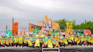 [4K] 愛知淑徳大学 鳴踊　ファイナル演舞　2日目　犬山踊芸祭 2019