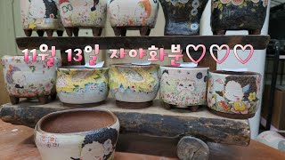 모두품절.11월13일 #자야화분 #수제화분 #공방화분 #다육화분