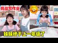 妹妹终于上一年级了！放学也要开始写作业了，这缠人的妹妹哈哈！【小卷毛和姐姐】