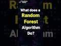 What does a Random Forest Algorithm do? | Random Forest explained | Must watch