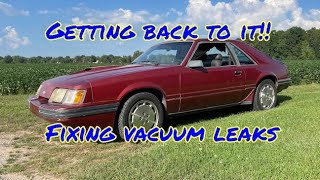 1985.5 SVO mustang part 4, fixing vacuum leaks