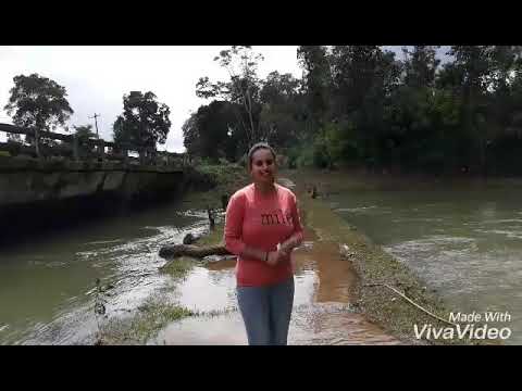 Effect of rain in Bellumadu and Balamberi river( Coorg) Effect of rain in Bellumadu and Balamberi river( Coorg)