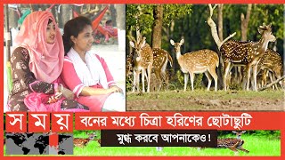 মনপুরায় পর্যটকদের মন কাড়ছে 'দখিনা হাওয়া সি-বিচ' | Manpura Island | Somoy TV