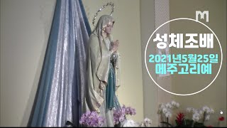 2021년5월25일 메주고리예 본당 성체조배 및 성체강복