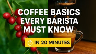 The Best Coffee Tutorial Part 1
