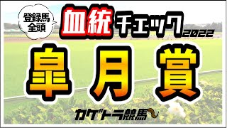 皐月賞2022【競馬予想】過去14回血統徹底検証！フラグ4頭！ドウデュース、ダノンベルーガ・・・ハーツクライ豊作？