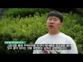 목포대 linc사업단 u0026 교육부 u0026 한국연구재단 융합캡스톤디자인 세계 최초 춤추는 로봇 마당극 ‘로봇아이’ 공연 현장 영상