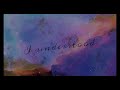 nidoma i understood lyric video