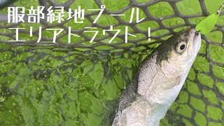 【服部緑地プール】冬季限定トラウトフィッシング！（Trout fishing in the citizen pool!）