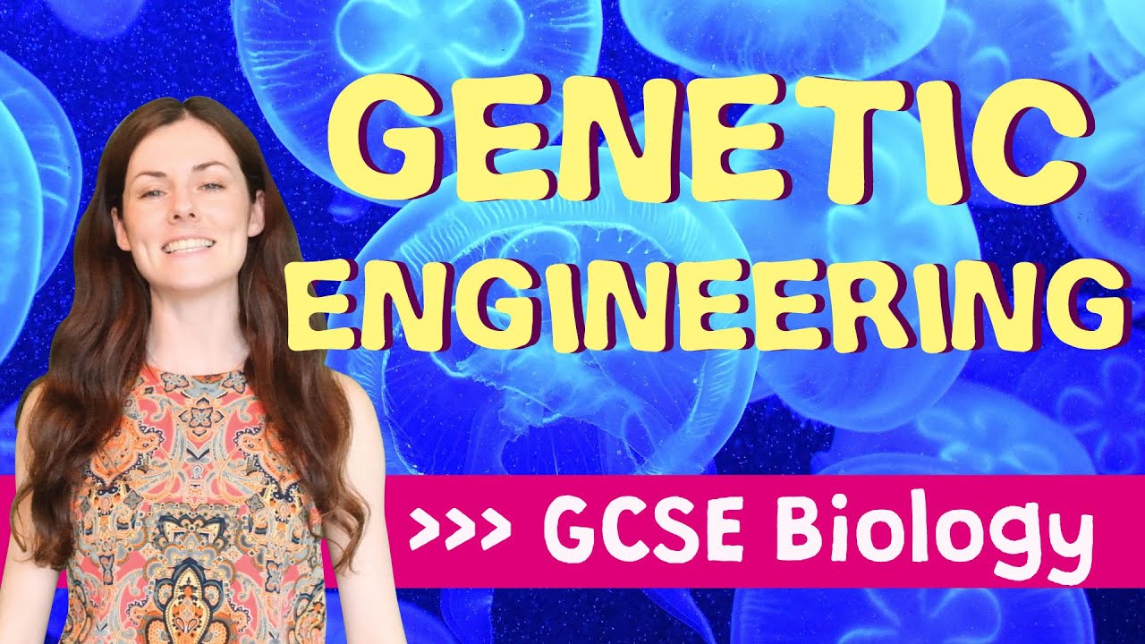 GENETIC ENGINEERING GCSE Biology 9-1 | Combined (Revision & Qs) - YouTube