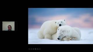 Peguins, Polar Bears and People. Climate Change and the Future of Marine Life