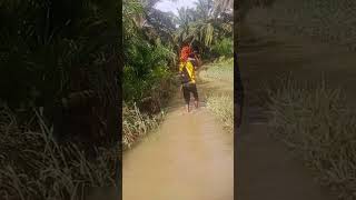 banjir membawa keberuntungan