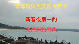 （第16集）2024新春後第一釣北海岸釣烏魚拉爽爽#臺灣釣魚