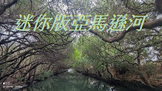 【一日景點】台南 四草綠色隧道 超美的迷你版亞馬遜河 乘坐竹筏漫遊 綠色秘境 水上綠色隧道