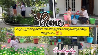 🏡🌹🌺വീട് ഒന്ന് കളർ ആക്കിയാലോ🌺🌹 💯#garden#💯#viralvideo #vlog