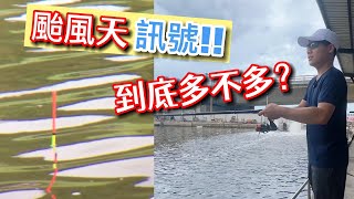 [海釣場]颱風天訊號到底多不多??釣魚訊號報給你知｜金目鱸魚怎麼釣｜瑞生海釣場｜平日去釣魚