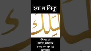 ইয়া মালিকু, ধনী হওয়ার আমল,আল্লাহর গুনবাচক নাম এর ফজিলত।  #shorts #islam #allah #allahnames