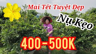 📞 XUYÊN 0347535763 MAI GIẢO RIN CHƠI TẾT VƯỜN ĐẸP MƯC THẤP 400-500K BAO SHIP 28/11/2024 | BẾN TRE ƠI