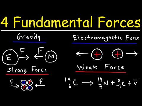 What are the three natural forces?
