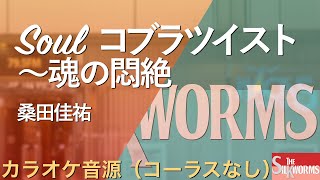 【高音質カラオケ音源】Soulコブラツイスト〜魂の悶絶 / The Silkworms [Instruments Only] (Cover)