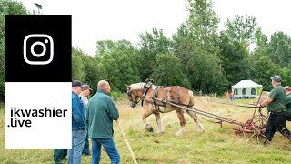 In 1’ Belgisch trekpaard maait gras met Den Brabander voor Natuurpunt - Draft Horses 4 Instagram