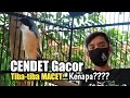 CENDET tiba-tiba MACET Padahal settingan sama|| ternyata ini penyebabnya