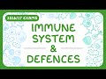 GCSE Biology - Immune System & Defences | Types of White Blood Cell (2026/27 exams)