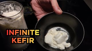 [ How to make KEFIR every day WITHOUT GRAINS ] from store bought milk  [ asmr ]