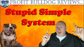 🤪 Stupid Simple System Review 🔥 Bonuses - Stupid Simple System Review