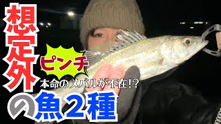 想定外！？本命のメバルが釣れず、『アレ』が釣れちゃった♪