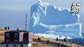 Massive iceberg stops Canada tourists in their tracks | New York Post