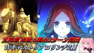 【#FGO】宝物庫極級をWキャストリアロリンチで回るだけの動画【3T周回】