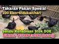 Sukses Ternak Entok Gosong || Takaran Pakan untuk 100 Ekor Indukan