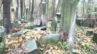 Warsaw Jewish Cemetery