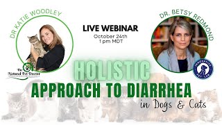 Holistic Approach to Diarrhea in Dogs & Cats