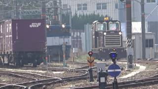 【昼の貨物大移動】伯耆大山駅にてEF64形含む入換機関車による総入換（2019/3/2）