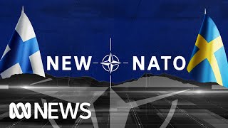 Finland and Sweden want to join NATO. The result could completely reshape Europe | ABC News